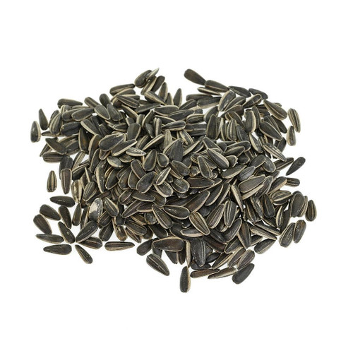 Raw Sunflower Seed