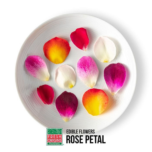 Rose Flower Petals