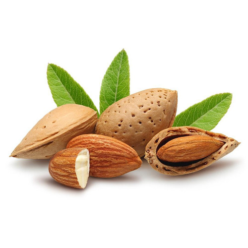 Almond in Shell