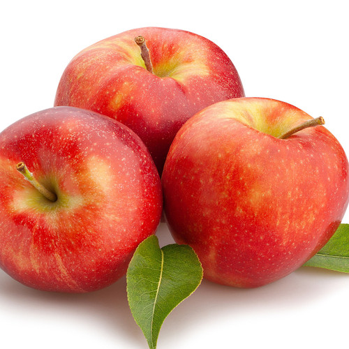 Organic Evercrisp Apple Organic Evercrisp Apple