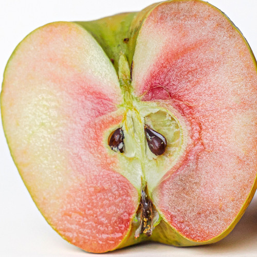 Lucy Glo Apple