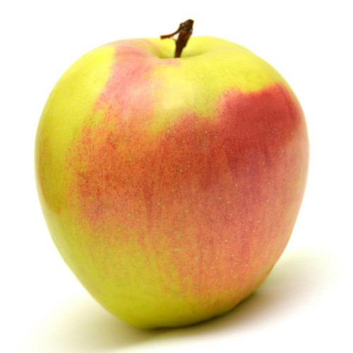 Newtown Pippin Apple Newtown Pippin Apple