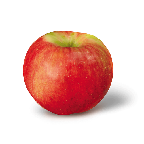 Zestar Apple