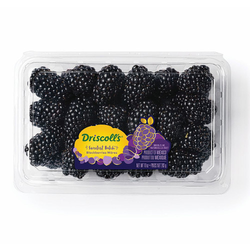 Sweetest Blackberry