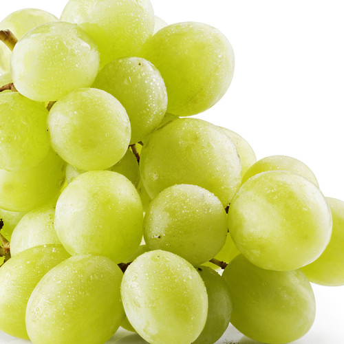 Pristine Green Grape