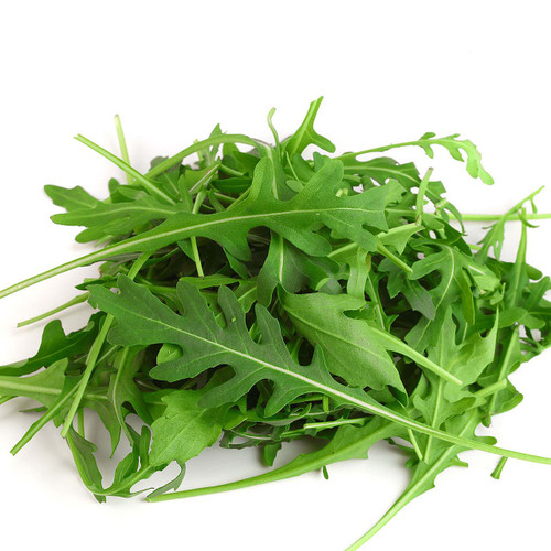 Organic Arugula Herb