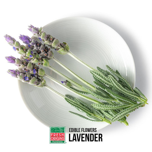 Lavender Blossom Herb