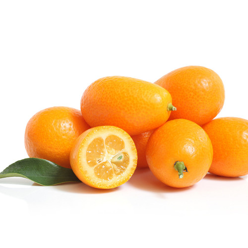 Kumquat Kumquat