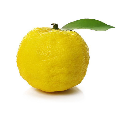 Yuzu Lemon Yuzu Lemon
