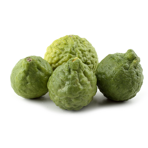 Makrut Kaffir Lime