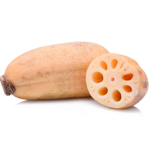 Lotus Root Lotus Root