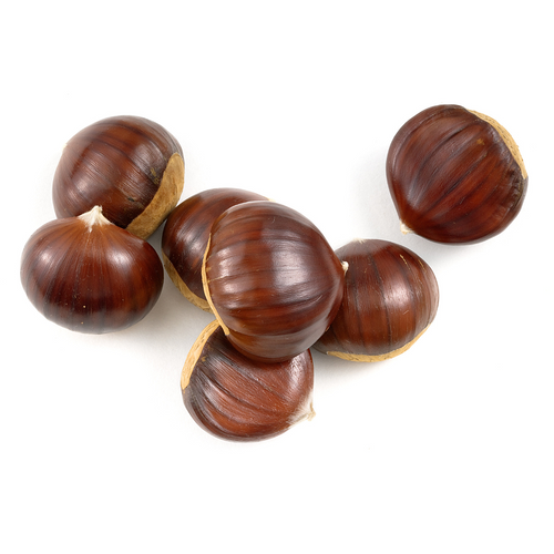 Chestnut