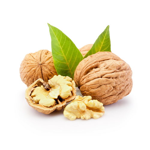 Jumbo In Shell Walnut