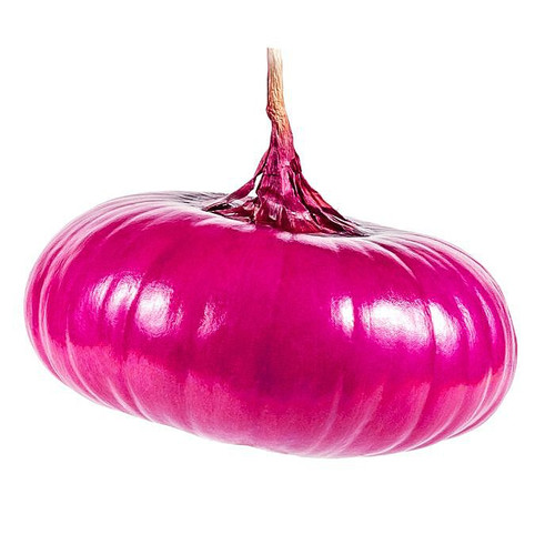Peeled Cipollini Onion