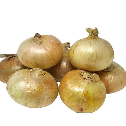 Jumbo Mayan Sweet Onion