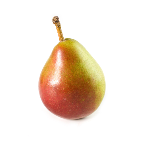 Seckel Pear
