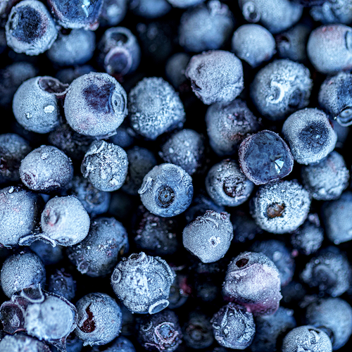 Frozen Blueberry