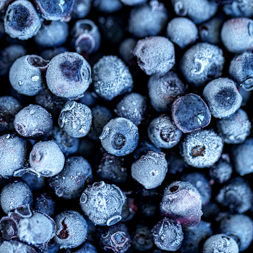Organic Frozen Blueberry