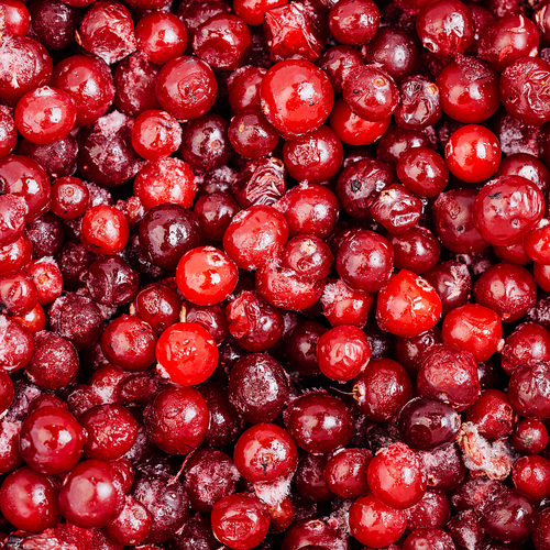 Frozen Lingonberry