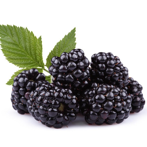 Blackberry