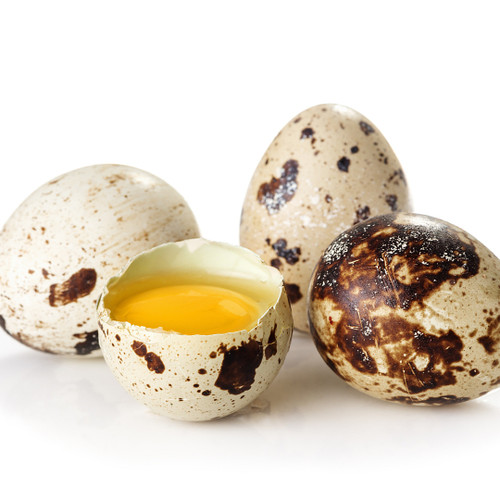 Hard Boiled Quail Eggs (6 Egg ea) 4 Bag Order