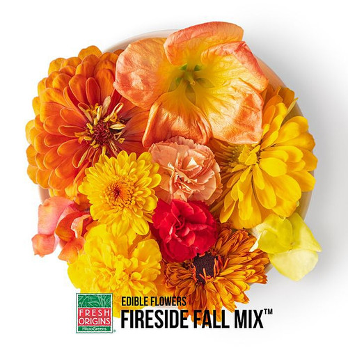 Edible Fireside Fall Mix Flower
