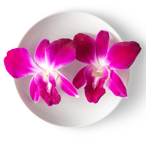 Edible Orchid Flower