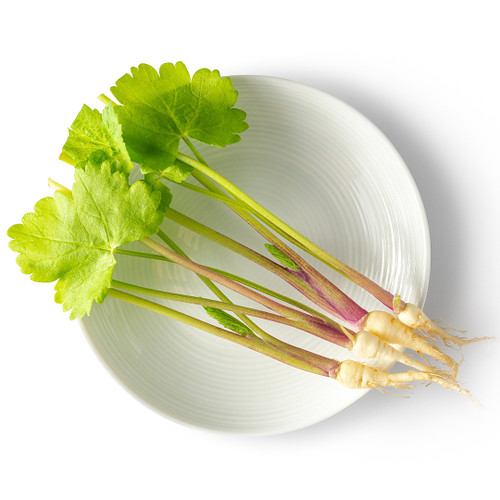 Parsnip Tiny Veg