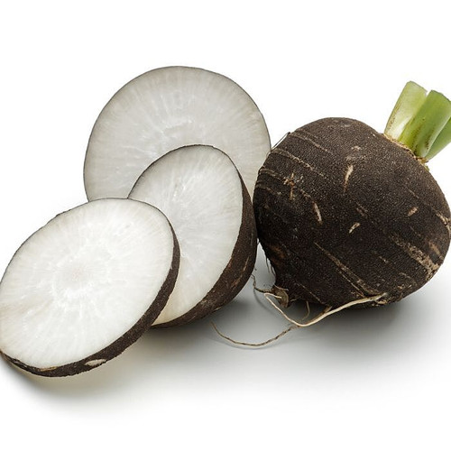 Organic Black Radish