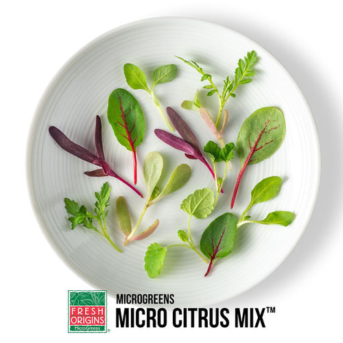 Petite Micro Green Citrus Mix