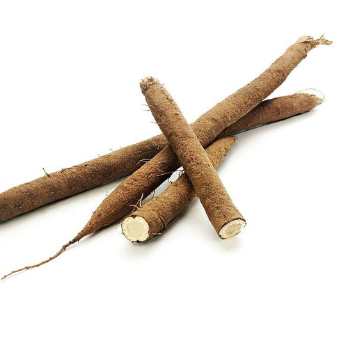 Salsify Root Salsify Root