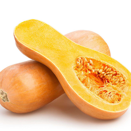 Large Butternut Squash Large Butternut Squash