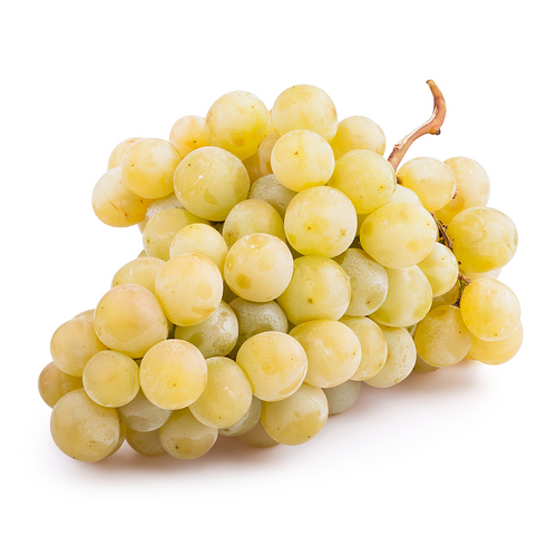 Muscat Grape