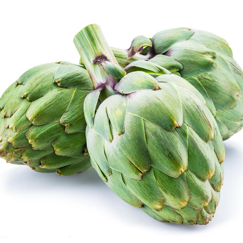 Large Baby Artichoke Large Baby Artichoke