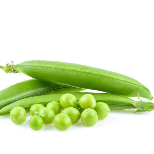 English Pea English Pea