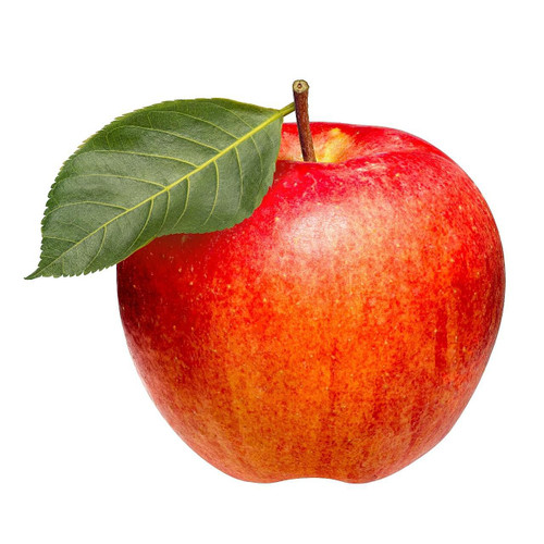 Bagged Envy Apple