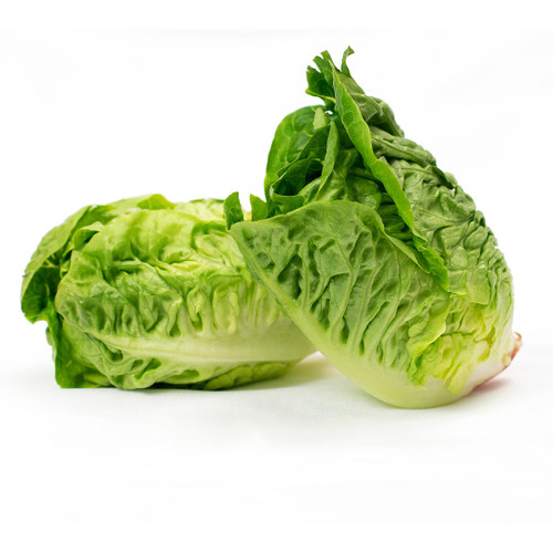 Gem Lettuce