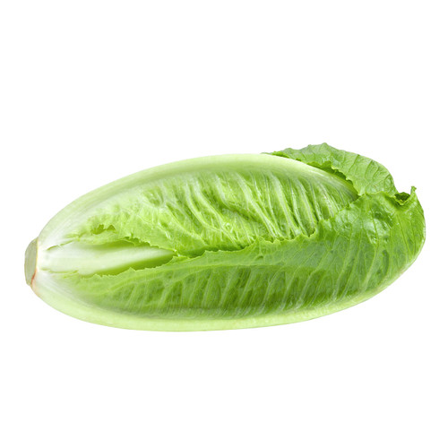 Romaine Artisan Lettuce