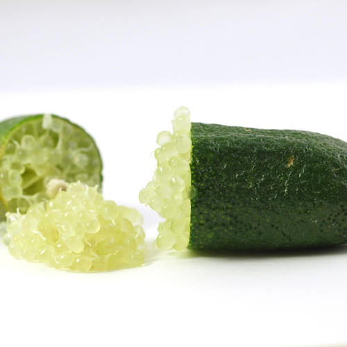 Fingerlime Fingerlime