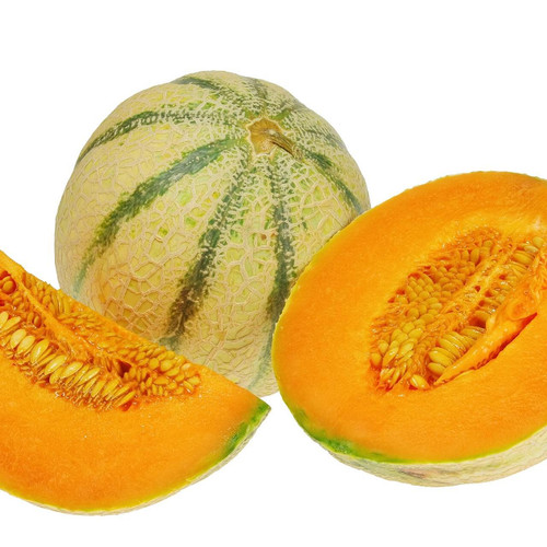 Charentais Melon