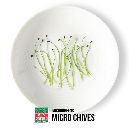 Micro Chive