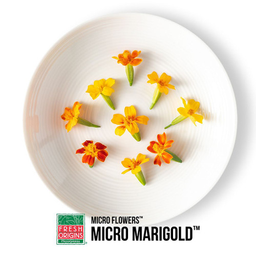 Micro Marigold
