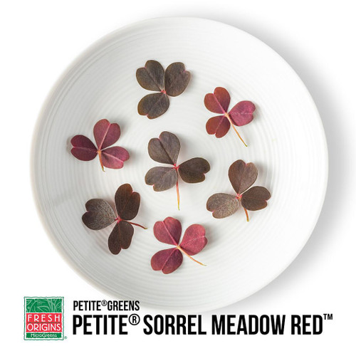 Petite Sorrel Meadow Red