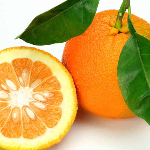 Seville Rising C Orange