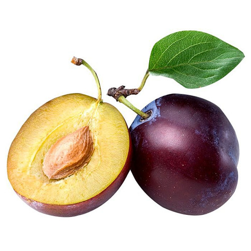 Black Plum