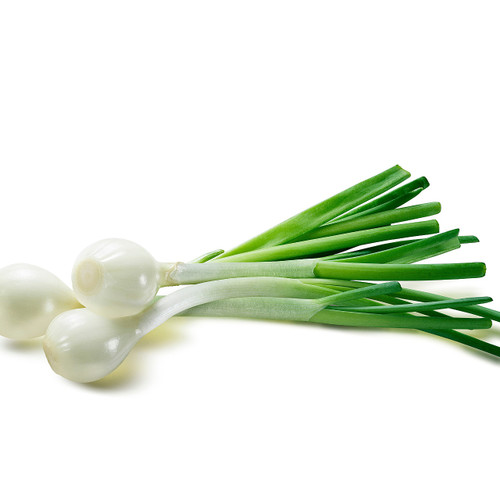 White Spring Onion