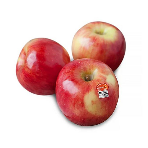 APPLE AUTUMN GLORY EURO WX1