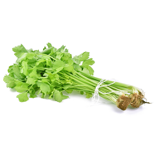 CELERY CHINESE