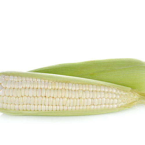 CORN WHITE