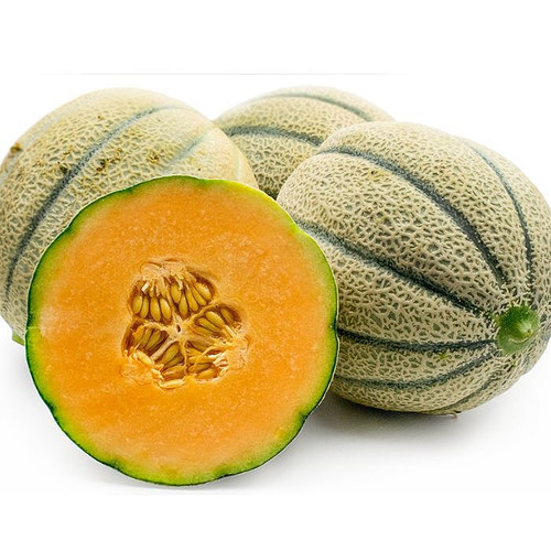 Tuscan Melon